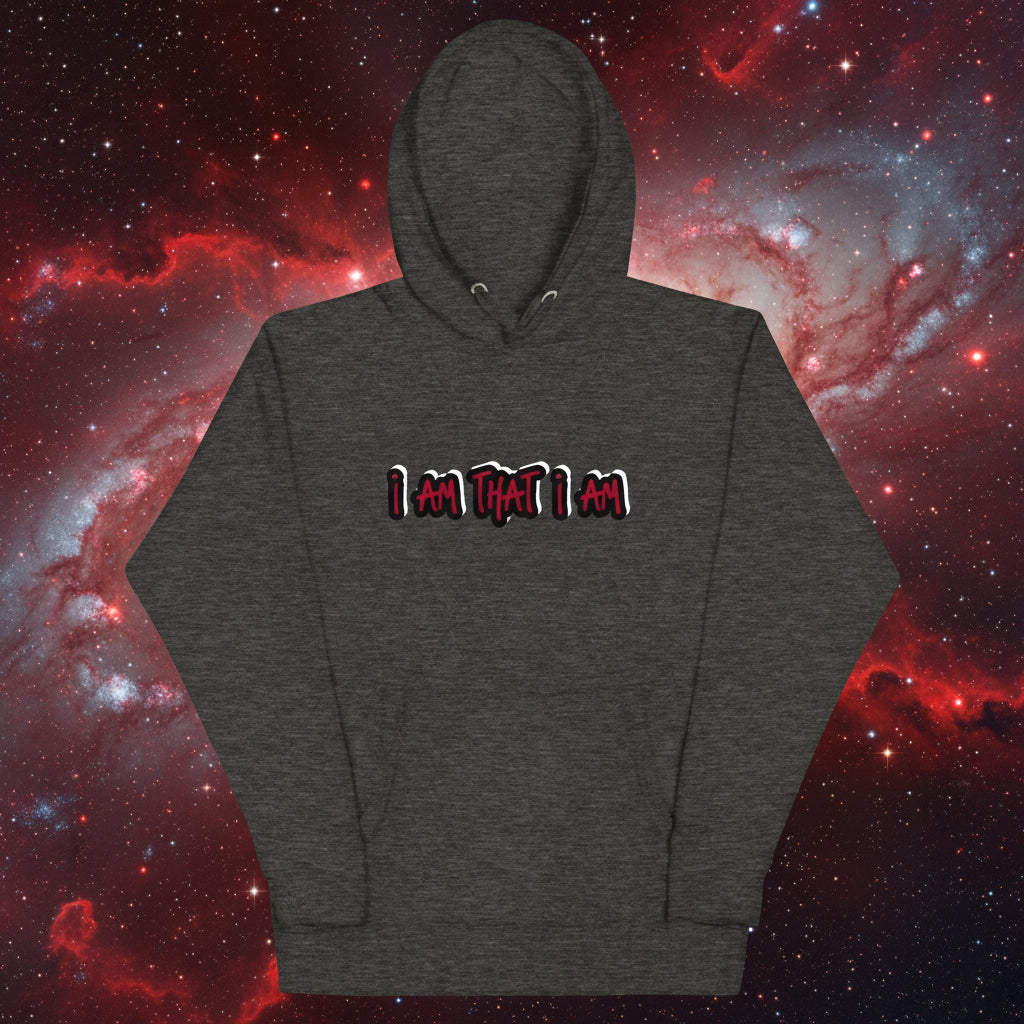 Unisex Hoodie- 'I AM THAT I AM, THAT IS ENOUGH'